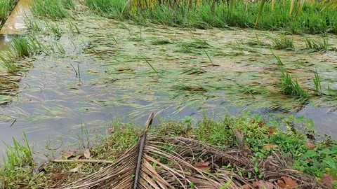 ปภ. เตือนหลายจังหวัด เฝ้าระวังน้ำล้นตลิ่ง น้ำท่วมขัง งดเที่ยวถ้ำ-น้ำตก