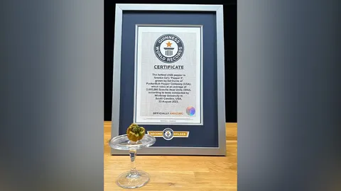 กินเนสส์บุ๊กรับรองแล้ว "PepperX" ขึ้นแท่นพริกเผ็ดที่สุดในโลก 