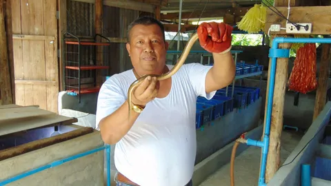 ผู้กองจราจรเมืองสุโขทัย ทำฟาร์มปลาไหลเพาะที่บ้าน รายได้ปัง ตลาดรับซื้อไม่อั้น