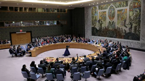 รัฐบาลสหรัฐฯยื่นมติ UNSC หลังปัดตกร่างบราซิล