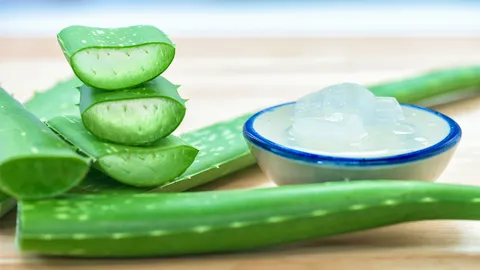 สนค.แนะรัฐบาลผ่าทางตันสมุนไพรไทย