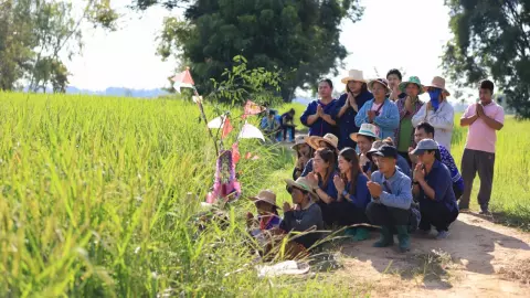 ปราชญ์ชาวบ้าน ต.สมอแข นำเยาวชนทำพิธีทำขวัญท้องข้าว สืบทอดประเพณีท้องถิ่น
