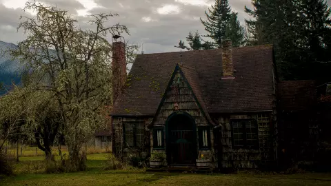 ร่วงหล่นมาจากไหน