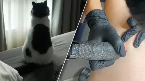 สาวรีวิวรอยสักแรกในชีวิต เล็กเท่าแมวข่วน แต่ความหมายสุดลึกซึ้ง