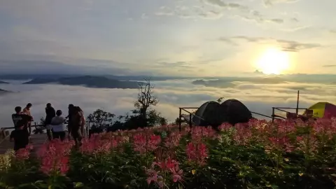 เที่ยวทะเลหมอก ตาก ชมพระอาทิตย์ขึ้นที่ "ม่อนหมอกตะวัน" สวรรค์บนดินที่ อ.พบพระ (คลิป)