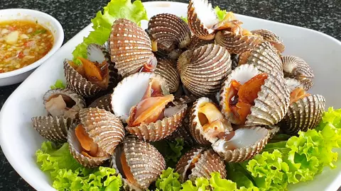 อาจารย์เจษฎ์ ชี้ "หอยแครง" ไม่ได้ทำให้เป็น "มะเร็ง" แต่แนะนำปรุงสุกดีที่สุด