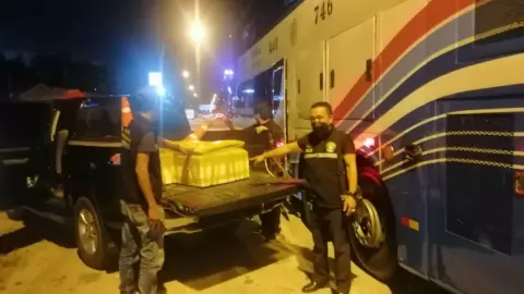 สารวัตรปศุสัตว์ พบเนื้อหมูป่า 3 ลัง ซุกใต้รถทัวร์นราธิวาส-ภูเก็ตที่ อ.ตากใบ