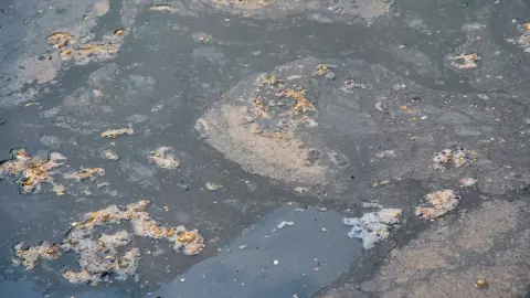 ปัญหาโลกแตกแก้ไม่หายน้ำเสียไหลลงทะเล ชาวภูเก็ตร้องให้หน่วยงานตรวจสอบ