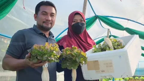หนุ่มแท็กซี่อ่าวนาง ปลูกผักไฮโดรโปนิกส์ ขายเป็นรายได้เสริม ตลาดตอบรับออเดอร์แน่น