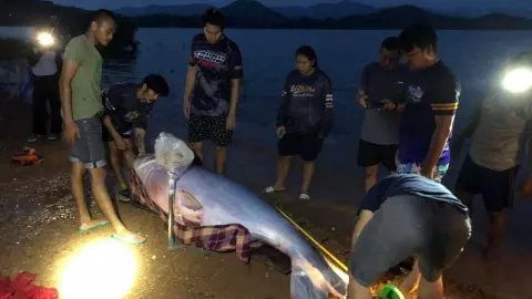 เทศกาลล่าปลาบึก เขื่อนแก่งกระจาน เริ่มแล้ว 3 วัน จับ 20 ตัว หนัก 220 กก.