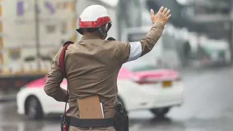 กับดับฝูงใหญ่