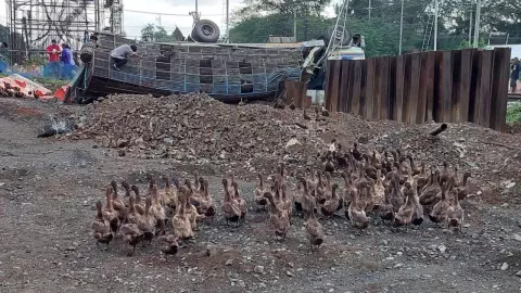 รถบรรทุกขนเป็ด วิ่งลงเขาเบรกไม่อยู่ชนเสาไฟ ตายนับพันตัว คนเจ็บ 3 ราย (คลิป)