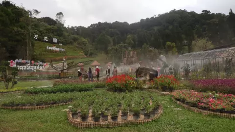 นักท่องเที่ยวแห่ชมความงาม "สวนหมื่นบุปผา" โชว์ไม้เมืองหนาวหนึ่งเดียวของเบตง