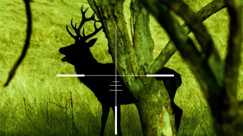 กดกริ่งป่วนเมือง