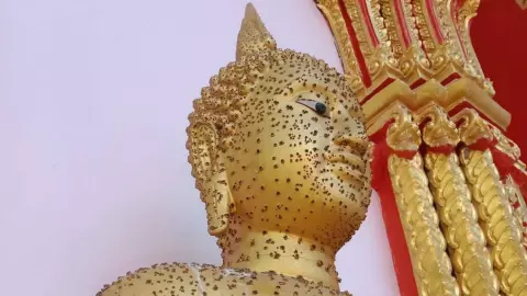สุดแปลก ตุ่มขึ้นเต็มองค์พระ ไม่พลาดขอเลขเด็ด หวยออก 16/11/66
