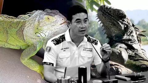 รู้ต้นตอ "อีกัวน่า" บุกยึดลพบุรี โรงแรมร้างปล่อยหลุด เตรียมชะลอนำเข้าไทย  