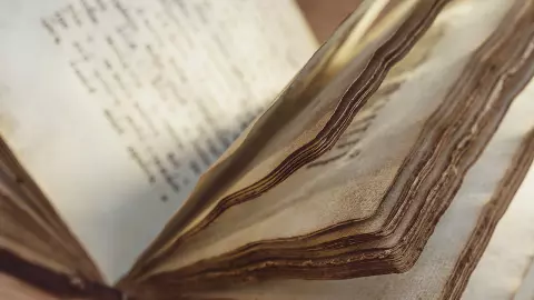 ชิ!ชะ!เจ้านกแก้ว