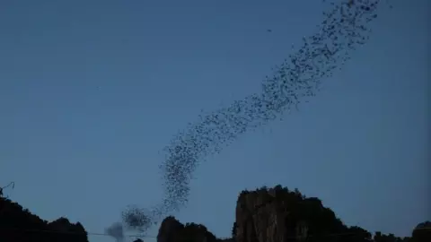 ชวนไปดูฝูงค้างคาวบินออกจากถ้ำที่บ้านมุง อ.เนินมะปราง เที่ยวแบบอันซีนพิษณุโลก (คลิป)