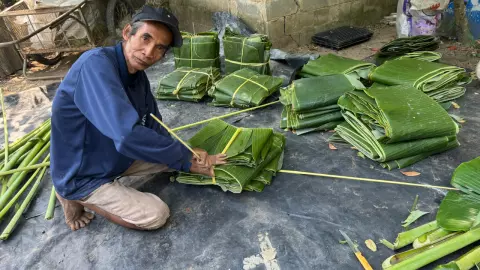 ชาวสวนกำแพงเพชร เร่งตัดใบกล้วยตานีส่งขายก่อนลอยกระทง ชี้ยอดเข้านับ 100 กก.ต่อวัน