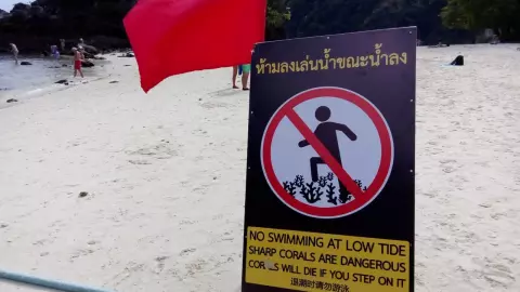 สรุปดราม่า นทท. ลงเล่นน้ำ ย่ำปะการัง-จับหอยมือเสือ ล่าสุดอุทยานฯ แจงแล้ว