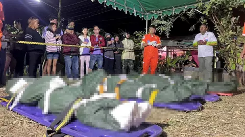 วิวาห์เลือด