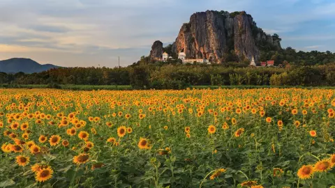 10 ที่เที่ยวใกล้กรุงเทพฯ ชมธรรมชาติ พักผ่อนฮีลใจ ไปเช้าเย็นกลับ