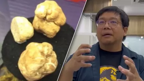 นักวิจัย มช.พบ "เห็ดทรัฟเฟิล" ในป่าของเชียงใหม่ ล้มทฤษฎี "ไม่ได้มีแค่เมืองหนาว"