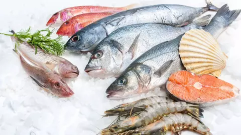 คาดปี 66 ตลาดผลิตและแปรรูปอาหารสัตว์โต 4.2% รับอุตสาหกรรมปศุสัตว์สดใส