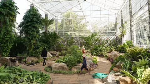 เชิญร่วมงาน “พรรณไม้งาม อร่ามสวนหลวง ร.๙” ระหว่างวันที่ 1-10 ธ.ค.นี้