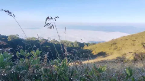 สภาพอากาศวันนี้ ลมหนาวมาอีกระลอก เหนือ อีสาน ลด 1–2 องศาฯ คนแห่เที่ยวดอย