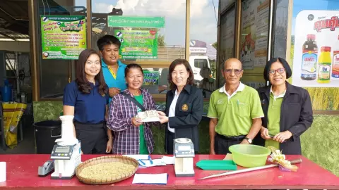 พาณิชย์พิษณุโลก จัดตลาดข้าวเปลือกที่บางระกำ รับซื้อราคาสูงกว่าท้องตลาดช่วยชาวนา