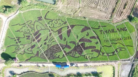 สวยเหนือจินตนาการ "ศิลปะบนนาข้าว" โดยคนไทย ที่งานไทยแลนด์เบียนนาเล่เชียงราย 2023