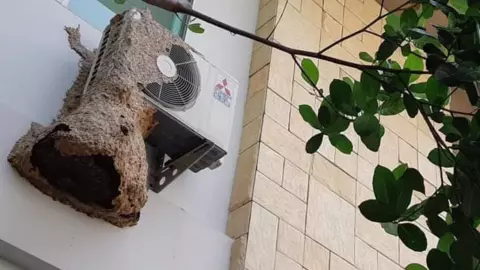 คิดว่าเป็นรังร้าง ช่างซ่อมคอมพ์แอร์ เจ้าถิ่นแตกรัง ถูกต่อยปากบวมเป่ง