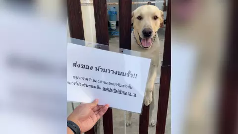 เรียนพี่ไรเดอร์ ฝากส่งของให้ถึงมือผู้สั่ง เพราะที่บ้านหมารับของได้ แต่ไม่คืน