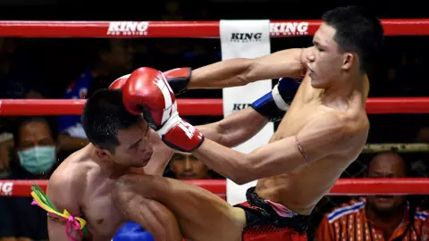 แรมโบ้ มีฮึดกว่าจะชนะ ยอดคมปฏัก อีกครั้ง ส่วน เพชรโชคชัย-มนัส-ยอดขุนพล ต้องลุ้น