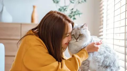 5 พฤติกรรมต้องห้ามทำกับ ‘แมว’ มีสิทธิโดนเจ้านายเกลียด และไม่ชอบได้