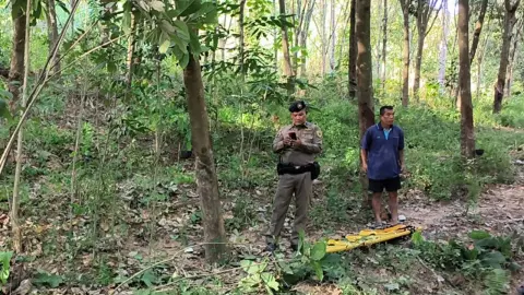 "อาละวาดไม่หยุด" ช้างป่าดุ กระทืบ-ฉีกร่างคนกรีดยาง ตายสยอง 1