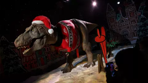 5 สิ่งที่ค้นพบจากไทแรนโนซอรัสเร็กซ์