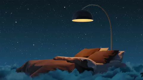 ฝันดีที่ทรงลืม