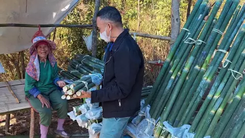 ธุรกิจรับลมหนาว ชาวบ้านพะเยาตัดไม้ไผ่ทำกระบอกข้าวหลาม ขายริมทางทำเงินดีมาก