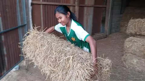 สาวน้อยวัย 12 หารายได้ช่วงปีใหม่ ช่วยพ่อแม่อัดฟางก้อนขาย ชูรายได้ดีแถมลด PM 2.5