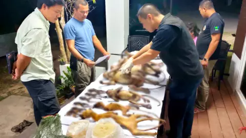 จับพรานหัวหิน ล่าสัตว์ป่าอช.กุยบุรี ยิงค่างแว่น อีเห็น กบทูด 13 ตัว