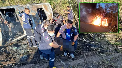 ชนย่างสด