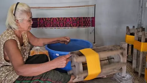 ยายชาวสุรินทร์วัย 76 อนุรักษ์ภูมิปัญญาพื้นบ้านเลี้ยงไหมมัดหมี่ ทอผ้าไหมขาย