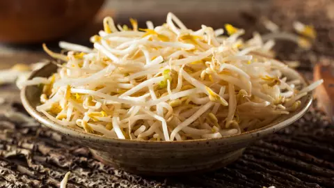 วิธีปลูกถั่วงอกง่ายๆ ที่บ้าน โตเร็ว ต้นอวบใหญ่ ปลอดภัยจากสารพิษ