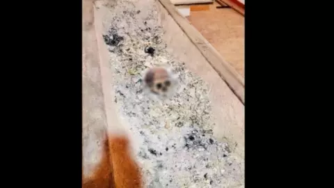 สัปเหร่อตะลึง เผาศพแม่เฒ่าใจบุญ ส่วนอื่นไหม้เป็นเถ้า กะโหลกยังอยู่ 