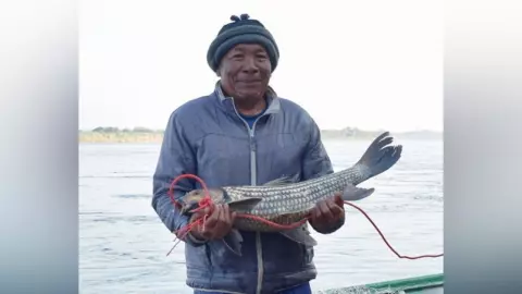 ปลายี่สก..ลุ่มน้ำโขง