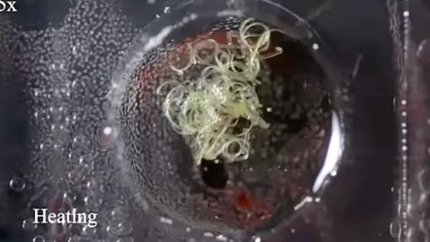 ทีมนักวิจัย เผยแรงบันดาลใจในการประกอบวัสดุอัตโนมัติจากพฤติกรรมของมดคันไฟ