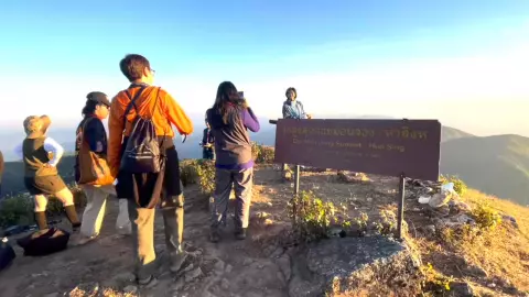 นักท่องเที่ยวแห่ขึ้นดอยม่อนจอง จ.เชียงใหม่ ชมกุหลาบพันปีกำลังบานสะพรั่ง