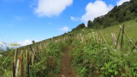 ช่วงปีใหม่ 2567 อช.ดอยอินทนนท์ นักท่องเที่ยวเพิ่มเกือบ 4 แสน เมื่อเทียบปี 66